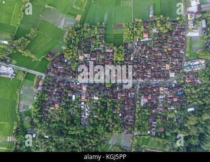 Drone aérien vue du village traditionnel de Bali à Tabanan Banque D'Images
