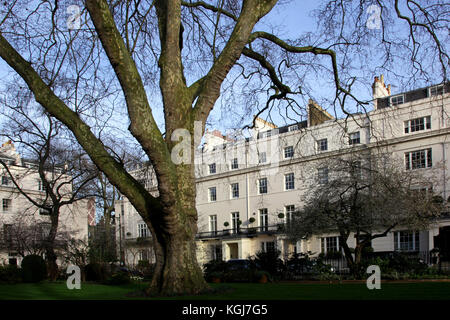 Chester Square est un petit square résidentiel situé dans le quartier de Belgravia, London, UK Banque D'Images