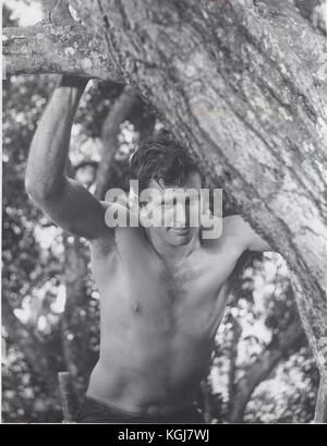 1966 - RON ELY à Tarzan. (Crédit image : © ABC/Entertainment Pictures/ZUMA Wire) Banque D'Images