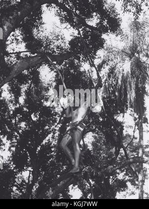 1966 - RON ELY à Tarzan. (Crédit image : © ABC/Entertainment Pictures/ZUMA Wire) Banque D'Images