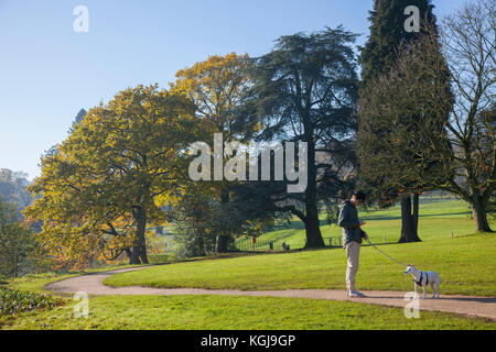 Stoke-on-Trent. Météo britannique. 8 novembre 2017. Le soleil lumineux commence à la journée d'automne dans les jardins, les bois et le parc de Trentham. Trentham Gardens est le mile long, Capacité Brown conçu paysage et le lac Trentham avec une promenade circulaire au bord du lac tout au long de la route, comme il vous prend de côté la rivière Trent, Banque D'Images