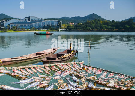 Shanghai, Ningbo, Chine. 9 nov, 2017. NINGBO, CHINE 9e novembre 2017 :(usage éditorial seulement. la Chine).Le poisson séché à l'air est une sorte d'aliments traditionnels à Ningbo, province de Zhejiang en Chine de l'Est, le 9 novembre 2017. Les villageois en général de l'air le poisson à l'extérieur au début de l'hiver. crédit : l'Asie sipa/zuma/Alamy fil live news Banque D'Images