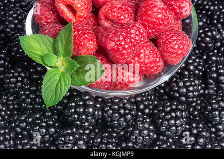 Fruits rouges et noirs avec des feuilles de menthe verte. détail de framboises juteuses dans bol en verre sur le fond plein de mûres sucrées. Banque D'Images