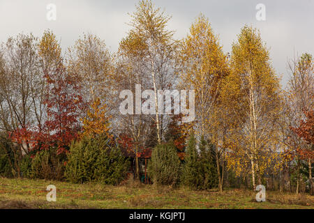 Paysage d'automne dans les Carpates ukrainiennes de l'ouest Banque D'Images