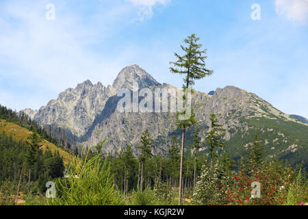Lomnicky Stit (crête), Hautes Tatras (Vysoke Tatry) parc national, Slovaquie Banque D'Images