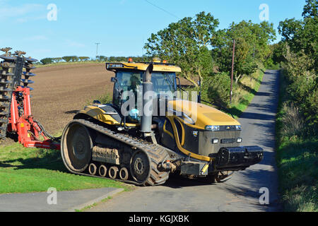 Cat Challenger Banque D'Images