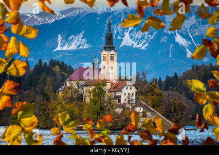 Bled, Slovénie - l'automne magnifique lever du soleil sur le lac de Bled avec la célèbre église de pèlerinage de l'assomption de Marie avec le Château de Bled et les Alpes Juliennes un Banque D'Images