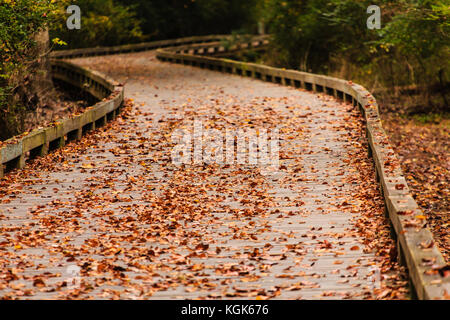 Les feuilles d'automne à bord trail Banque D'Images