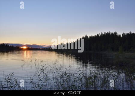 Coucher de soleil sur un lac avec des algues en premier plan et une forêt en arrière-plan,photo du nord de la Suède. Banque D'Images