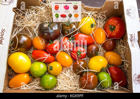 Variétés de tomates du patrimoine de couleur sur le marché français. Banque D'Images