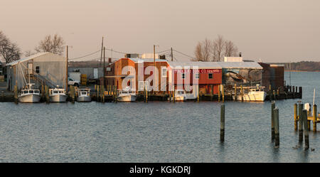 Bateaux de pêche utilisés pour des crabes et oystering sur le quai de la baie de Chesapeake pour la nuit à Cambridge, au Maryland. Banque D'Images