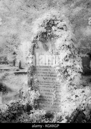 Un port infrarouge tourné d'une vieille pierre tombale victorienne recouvert de lierre. Banque D'Images