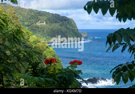 Hana est une longue route sinueuse, qui commencent à kahului, hi et se termine en hana, hi sur l'île de Maui. la fonction route belle cascade, spectaculaire Banque D'Images