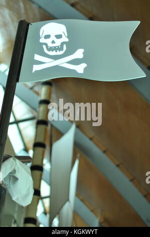 Drapeau pirate numérique, Museum of Tropical Queensland, Townsville, Queensland, Australie Banque D'Images