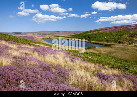 Le Tarn deux howes rigg au-dessus de goathland North York Moors national park North Yorkshire, Angleterre, Royaume-Uni Banque D'Images