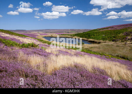 Le Tarn deux howes rigg au-dessus de goathland North York Moors national park North Yorkshire, Angleterre, Royaume-Uni Banque D'Images