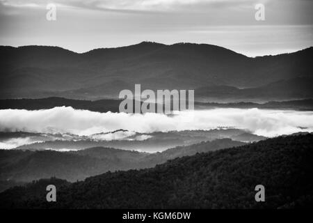 Vue sur monochrome Blue Ridge Mountains au lever du soleil avec le brouillard dans les vallées. Banque D'Images