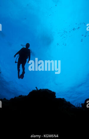 Diver sur mur vertical, Exuma, Bahamas Banque D'Images