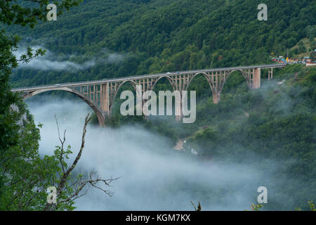 Pont sur Durdevica Tara Canyon Banque D'Images