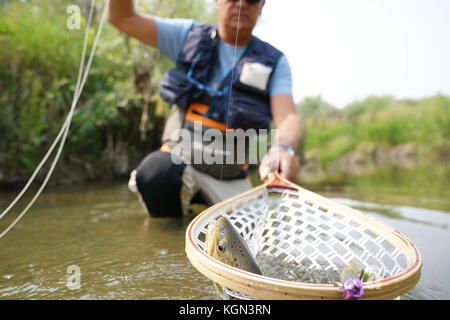 Pêcheur de mouche pêche truite brune dans river Banque D'Images