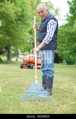 Man nettoyage jardin pelouse avec rake Banque D'Images