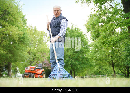 Man nettoyage jardin pelouse avec rake Banque D'Images