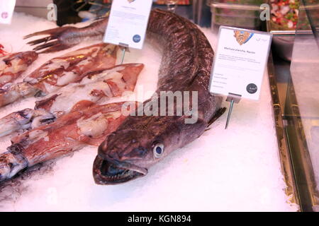 Poisson merlu frais affichés sur la glace glace de poissonnier, décrochage du marché Mercado San Miguel, le centre-ville de Madrid, Espagne Banque D'Images