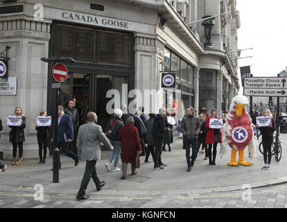 Londres, Royaume-Uni. 9 nov, 2017. à quelques minutes de l'ouverture de son premier flagship store à Londres, la bernache du Canada a vu ses premiers manifestants. accompagné d'un géant 'goose' et holding signs lecture, 'les oies souffrent pour la bernache du Canada, les membres de peta' organiser une manifestation pacifique devant le magasin de la rue Regent. crédit : wfpa/Alamy live news Banque D'Images