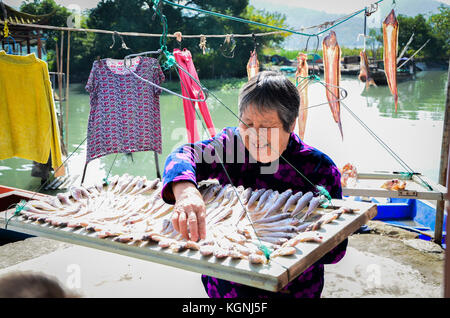 Ningbo, Chine. 9 nov, 2017. air-poisson sec est une sorte d'aliments traditionnels à Ningbo, province de Zhejiang en Chine de l'Est, le 9 novembre 2017. Les villageois en général de l'air le poisson à l'extérieur au début de l'hiver. crédit : l'Asie sipa/zuma/Alamy fil live news Banque D'Images