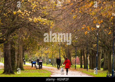 Aberystwyth Wales Royaume-Uni, vendredi 10 novembre 2017 Météo britannique : les gens marchent avec leurs chiens le long des arbres bordés dans le parc Plascrug par un matin lumineux et venteux de novembre à Aberystwyth Wales photo Credit : keith morris/Alamy Live News Banque D'Images