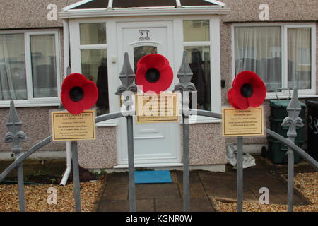 Conwy, pays de Galles du Nord, Royaume-Uni. 10 novembre 2017. Des coquelicots ont été attachés sur des postes de garde à travers Conwy pour commémorer les militaires qui vivaient dans les propriétés, avant qu'ils ne soient morts pendant les guerres 1 et 2. Une maison particulière affiche trois coquelicots, crédit: Michael Clarke/Alamy Live News Banque D'Images