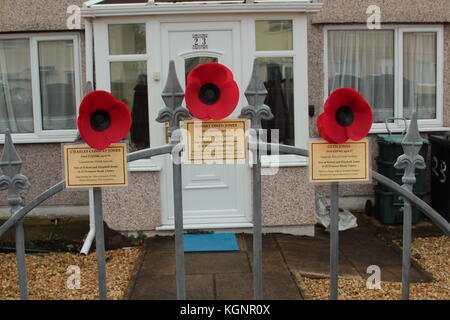 Conwy, pays de Galles du Nord, Royaume-Uni. 10 novembre 2017. Des coquelicots ont été attachés sur des postes de garde à travers Conwy pour commémorer les militaires qui vivaient dans les propriétés, avant qu'ils ne soient morts pendant les guerres 1 et 2. Une maison particulière affiche trois coquelicots, crédit: Michael Clarke/Alamy Live News Banque D'Images