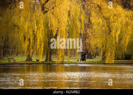 Automne dans le parc reconstruit de Prague Stromovka (réserve Royale de chasse), Prague, République tchèque, 10 novembre 2017. (CTK photo/Katerina Sulova) Banque D'Images