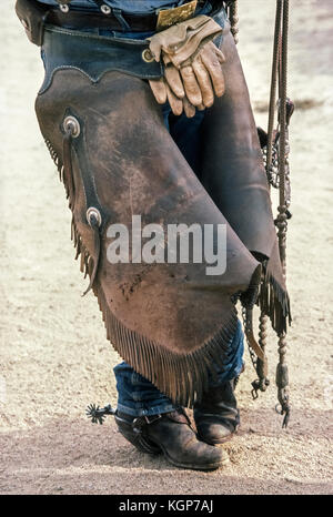 Cette photo en gros plan montre la très utilisé paire de chaps en cuir à franges porté par un American cowboy dans l'ouest de l'état de l'Arizona, USA. Également partie de l'ancien combattant du Wrangler armoire sont une large ceinture avec une boucle de laiton, gants de travail, les jeans, les bottes en cuir et acier éperons. Se balançant à droite est son cheval peu de fantaisie et de rênes. Banque D'Images