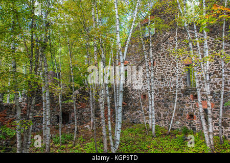 Demeure du Delaware Mine de cuivre, le parc historique national de Keweenaw, Michigan USA par Bruce Montagne/Dembinsky Assoc Photo Banque D'Images