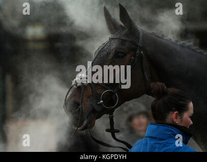 Course à la vapeur du cheval pendant la journée de la coupe d'or Bet Haldon 188 à l'hippodrome d'Exeter. Banque D'Images