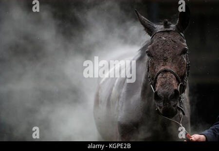 Course à la vapeur du cheval pendant la journée de la coupe d'or Bet Haldon 188 à l'hippodrome d'Exeter. Banque D'Images