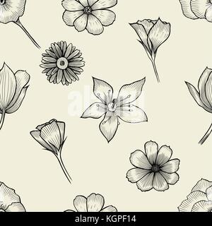 Belle, monochrome noir et blanc avec fond transparent dahlia fleurs. à la main des courbes de niveau et d'accidents vasculaires cérébraux. Illustration de Vecteur