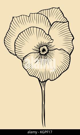 Vintage flower. noir et beige, illustration dans le style des gravures. Illustration de Vecteur