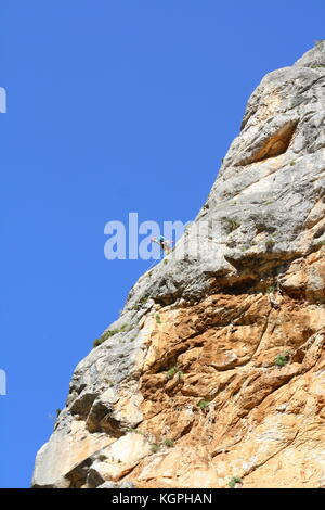 Les alpinistes qui montent vers le haut sommet d'un rocher, vu de dessous. Banque D'Images