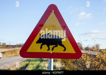 Panneau DE SIGNALISATION POUR LES SANGLIERS avertissement pour les animaux qui traversent la route Banque D'Images