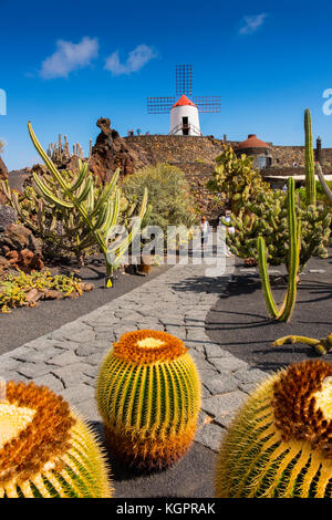 Jardin de Cactus. Jardin Cactus conçu par Cesar Manrique, Risco de las Nieves, Guatiza. Île de Lanzarote. Îles Canaries Espagne. Europe Banque D'Images