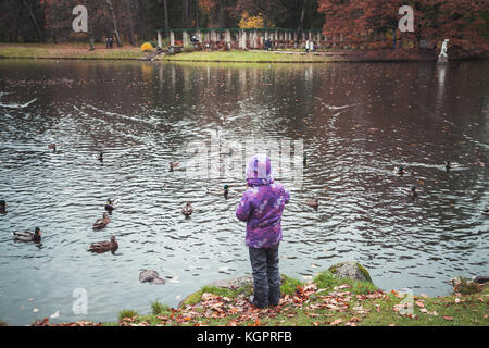 Petite fille se dresse sur la côte et rss canards dans autumn park Banque D'Images