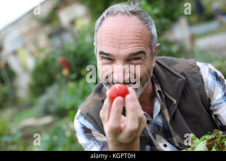 Cheerful senior man showing tomates du jardin Banque D'Images