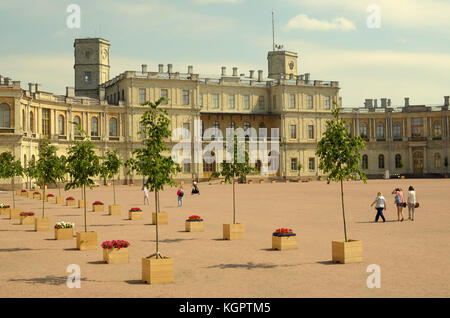 La Russie.La plantation de jeunes arbres dans le palais gatchina.dans la rue, le soleil brille. Banque D'Images