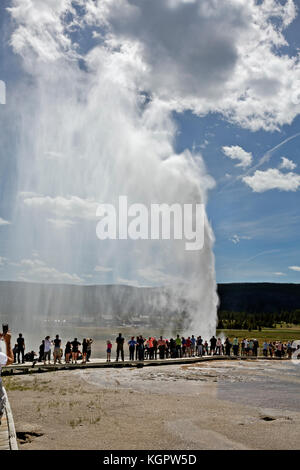 Wy02571-00...wyoming - visiteurs regardant l'éruption du geyser de ruche dans la partie supérieure du bassin du geyser de parc national de Yellowstone. Banque D'Images