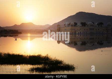 Jal Mahal, Jaipur, Rajasthan, Inde Banque D'Images