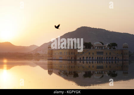 Oiseau volant au-dessus de Jal Mahal, Jaipur, Rajasthan, Inde Banque D'Images