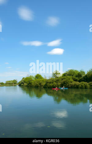 Deux personnes en kayak le long de la palette placid & Gloucester Sharpness Canal à Purton dans soleil d'été, Gloucestershire, Royaume-Uni Banque D'Images