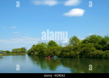 Deux personnes en kayak le long de la palette placid & Gloucester Sharpness Canal à Purton dans soleil d'été, Gloucestershire, Royaume-Uni Banque D'Images